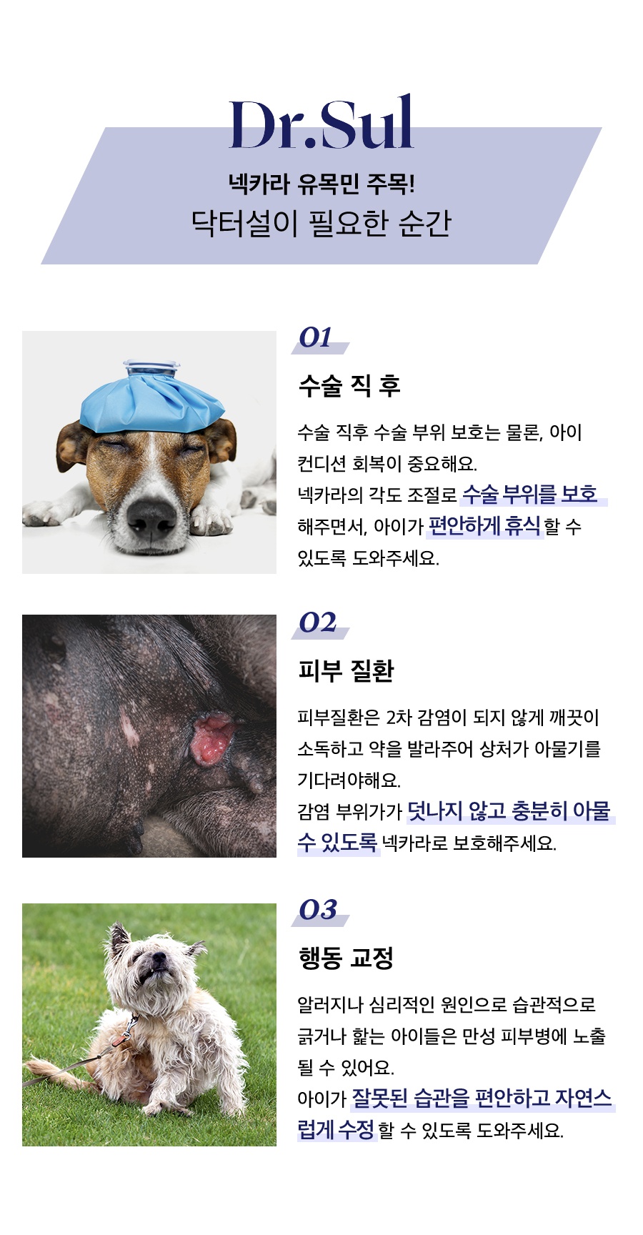 닥터설 각도조절 넥카라 (옐로우/블루/네이비)-상품이미지-5