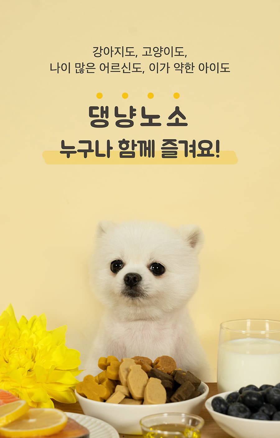 Vetter 댕댕츄정 대용량 (오메가3/프로바이오틱스/루테인/글루코사민)-상품이미지-5