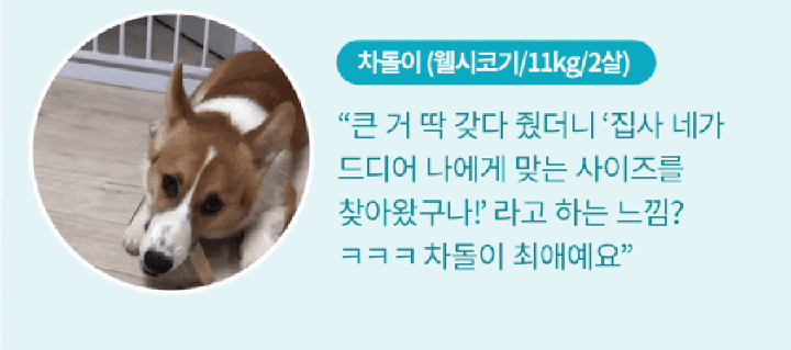 it 츄잇 중대형견용 (플레인/산양유)-상품이미지-8