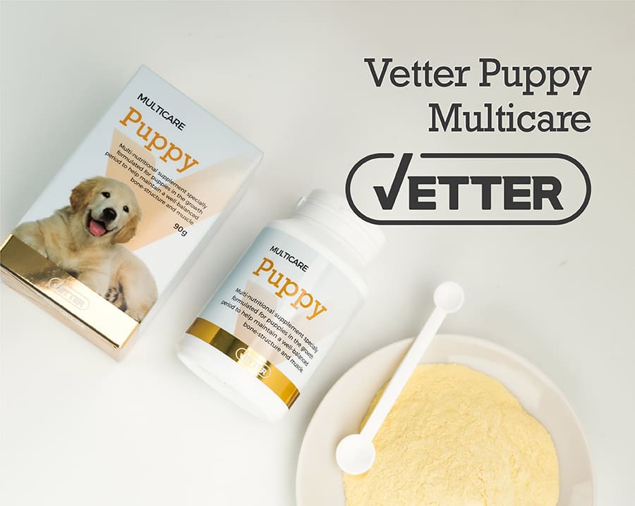 Vetter 댕냥이 영양 파우더 11종 (관절/피부/안정/눈/장/소화)-상품이미지-23